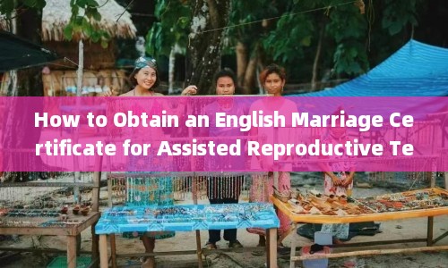 How to Obtain an English Marriage Certificate for Assisted Reproductive Technology (ART) in Thailand