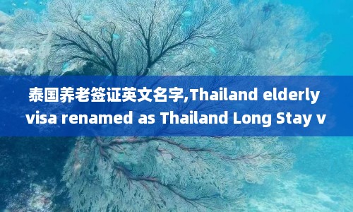 泰国养老签证英文名字,Thailand elderly visa renamed as Thailand Long Stay visa