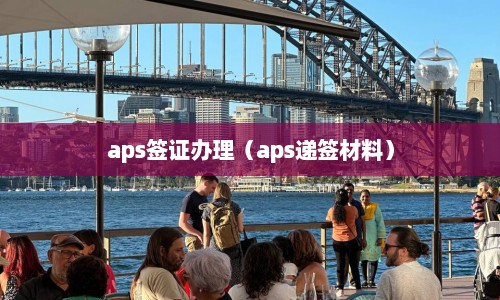 aps签证办理（aps递签材料）