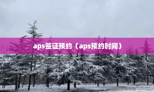aps签证预约（aps预约时间）