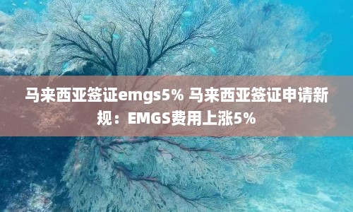 马来西亚签证emgs5% 马来西亚签证申请新规：EMGS费用上涨5%