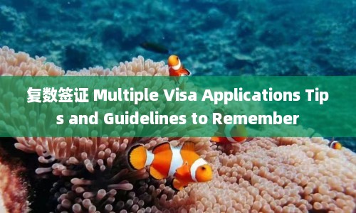 复数签证 Multiple Visa Applications Tips and Guidelines to Remember  第1张