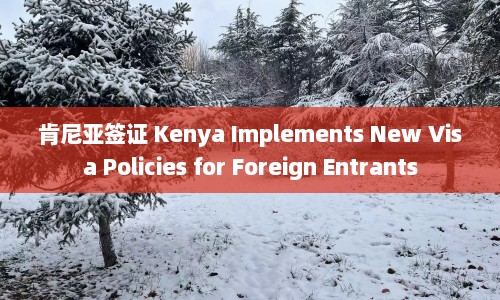 肯尼亚签证 Kenya Implements New Visa Policies for Foreign Entrants  第1张