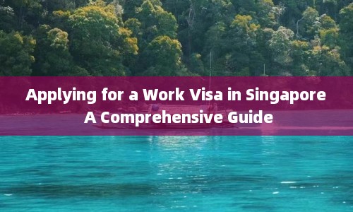 Applying for a Work Visa in Singapore A Comprehensive Guide