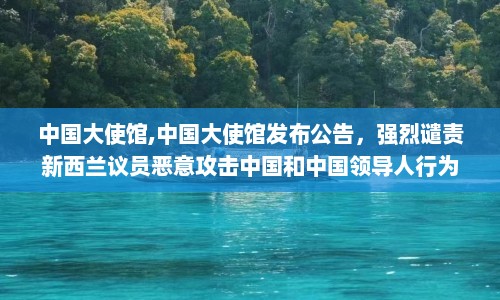 中国大使馆,中国大使馆发布公告，强烈谴责新西兰议员恶意攻击中国和中国领导人行为