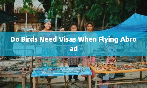 Do Birds Need Visas When Flying Abroad