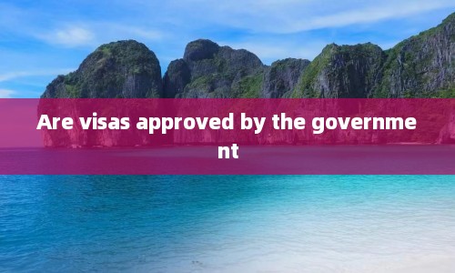 Are visas approved by the government
