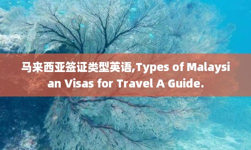 马来西亚签证类型英语,Types of Malaysian Visas for Travel A Guide.