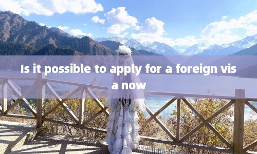 Is it possible to apply for a foreign visa now