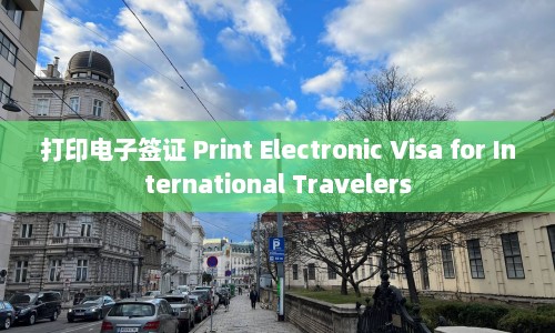 打印电子签证 Print Electronic Visa for International Travelers