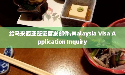 给马来西亚签证官发邮件,Malaysia Visa Application Inquiry