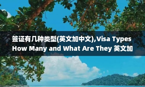签证有几种类型(英文加中文),Visa Types How Many and What Are They 英文加中文