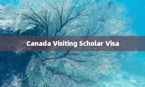 Canada Visiting Scholar Visa