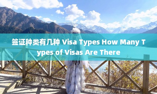 签证种类有几种 Visa Types How Many Types of Visas Are There