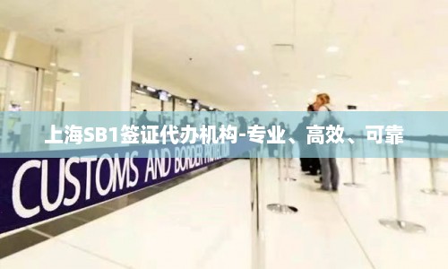 上海SB1签证代办机构-专业、高效、可靠  第1张