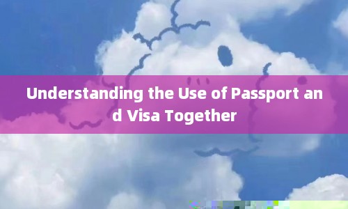 Understanding the Use of Passport and Visa Together