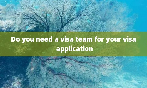 Do you need a visa team for your visa application