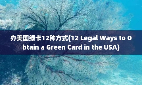 办美国绿卡12种方式(12 Legal Ways to Obtain a Green Card in the USA)