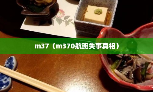 m37（m370航班失事真相）