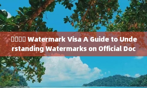 ˮӡǩ֤ Watermark Visa A Guide to Understanding Watermarks on Official Documents