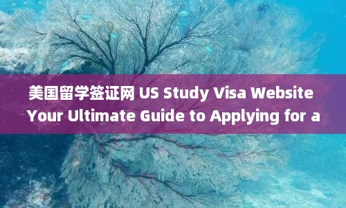 美国留学签证网 US Study Visa Website Your Ultimate Guide to Applying for a Student  第1张