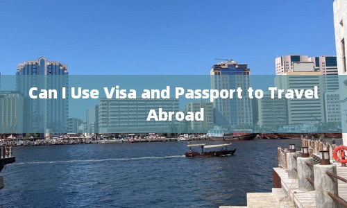 Can I Use Visa and Passport to Travel Abroad  第1张