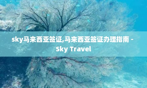 sky马来西亚签证,马来西亚签证办理指南 - Sky Travel