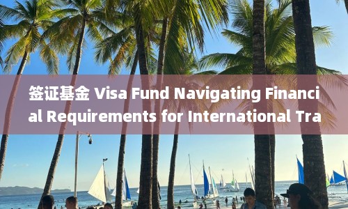 签证基金 Visa Fund Navigating Financial Requirements for International Travel  第1张