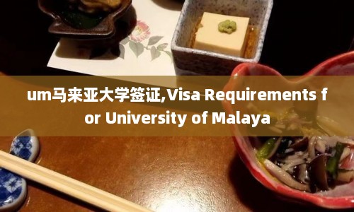 um马来亚大学签证,Visa Requirements for University of Malaya