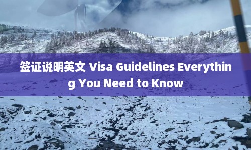 签证说明英文 Visa Guidelines Everything You Need to Know  第1张