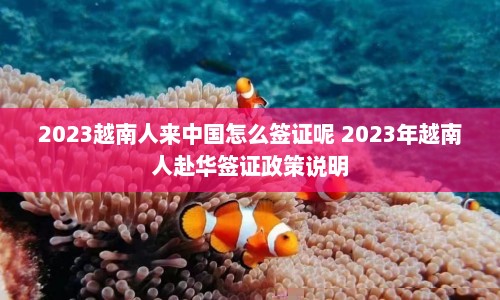 2023越南人来中国怎么签证呢 2023年越南人赴华签证政策说明  第1张