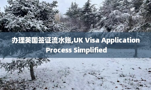 办理英国签证流水账,UK Visa Application Process Simplified