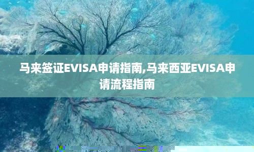 马来签证EVISA申请指南,马来西亚EVISA申请流程指南