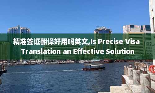 精准签证翻译好用吗英文,Is Precise Visa Translation an Effective Solution