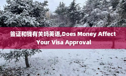 签证和钱有关吗英语,Does Money Affect Your Visa Approval
