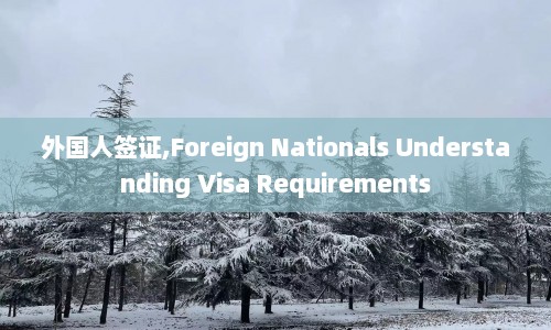 外国人签证,Foreign Nationals Understanding Visa Requirements