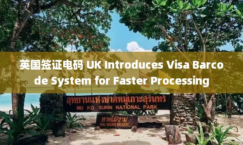 英国签证电码 UK Introduces Visa Barcode System for Faster Processing