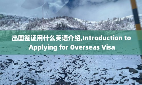 出国签证用什么英语介绍,Introduction to Applying for Overseas Visa