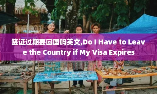签证过期要回国吗英文,Do I Have to Leave the Country if My Visa Expires  第1张
