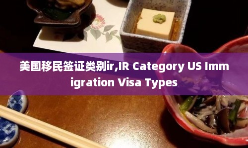 美国移民签证类别ir,IR Category US Immigration Visa Types  第1张