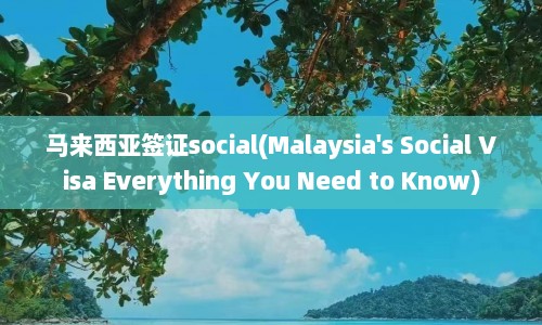 马来西亚签证social(Malaysia's Social Visa Everything You Need to Know)
