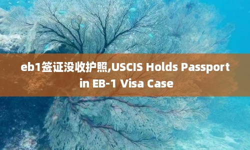 eb1签证没收护照,USCIS Holds Passport in EB-1 Visa Case