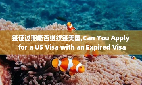签证过期能否继续签美国,Can You Apply for a US Visa with an Expired Visa