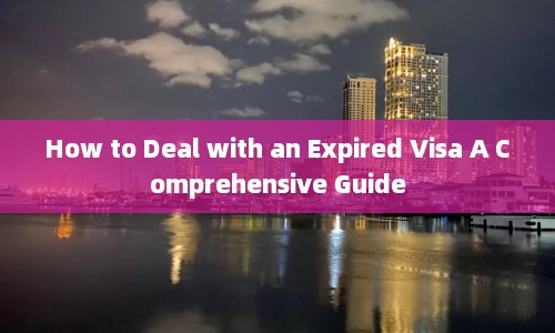 How to Deal with an Expired Visa A Comprehensive Guide