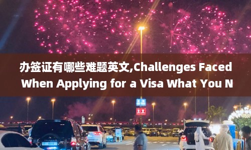办签证有哪些难题英文,Challenges Faced When Applying for a Visa What You Need to Know