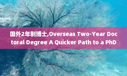 国外2年制博士,Overseas Two-Year Doctoral Degree A Quicker Path to a PhD
