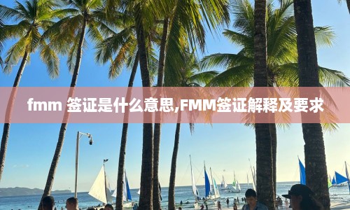 fmm 签证是什么意思,FMM签证解释及要求
