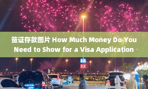 签证存款图片 How Much Money Do You Need to Show for a Visa Application - A Guide Finances  第1张