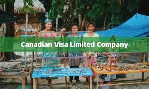 Canadian Visa Limited Company  第1张