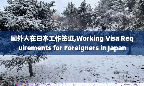 国外人在日本工作签证,Working Visa Requirements for Foreigners in Japan